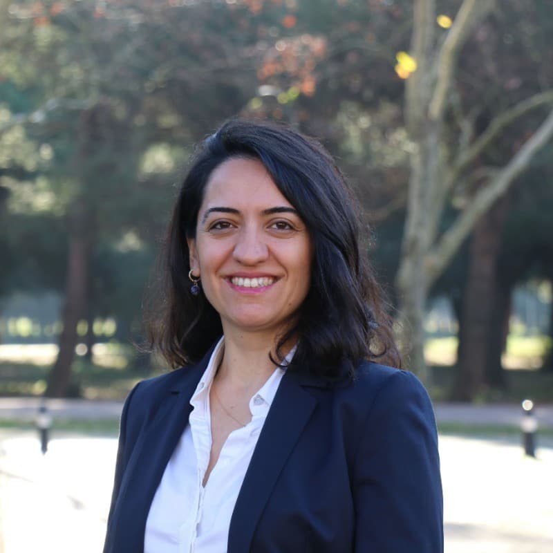 Sevilay Demirkesen Çakır